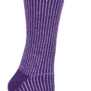 Ladies HEAT HOLDERS Boot Socks - Begonia-Purple